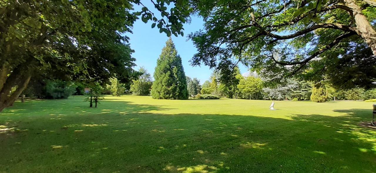 A l'Orée du Parc Saint-Priest-des-Champs Esterno foto
